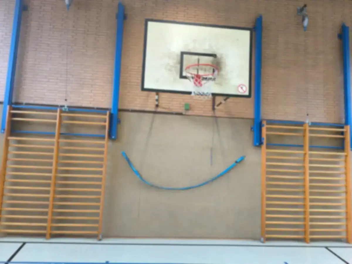 Sporthalle mit Basketballkorb und Sprossenwand – Wartung und DGUV-Prüfung von Sporthallen
